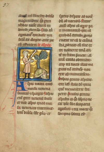 Un Homme et un Serpent - Unbekannt Unbekannt